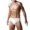 Brief Impetus 1124001