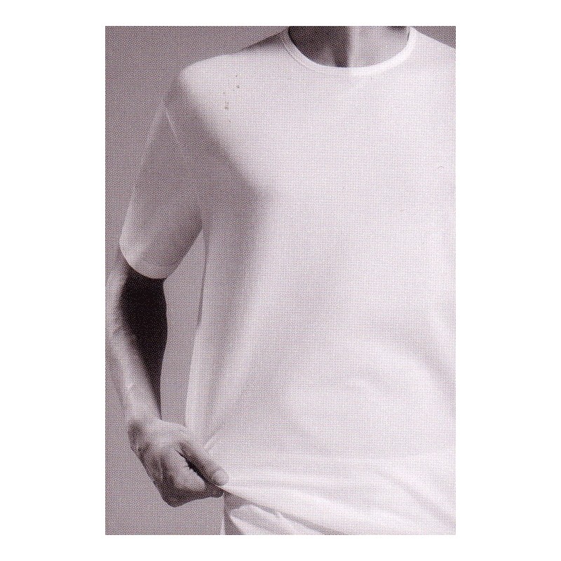 Shirt Impetus 1363002