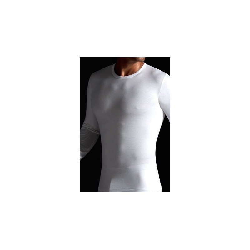 Impetus Innovation 1368898